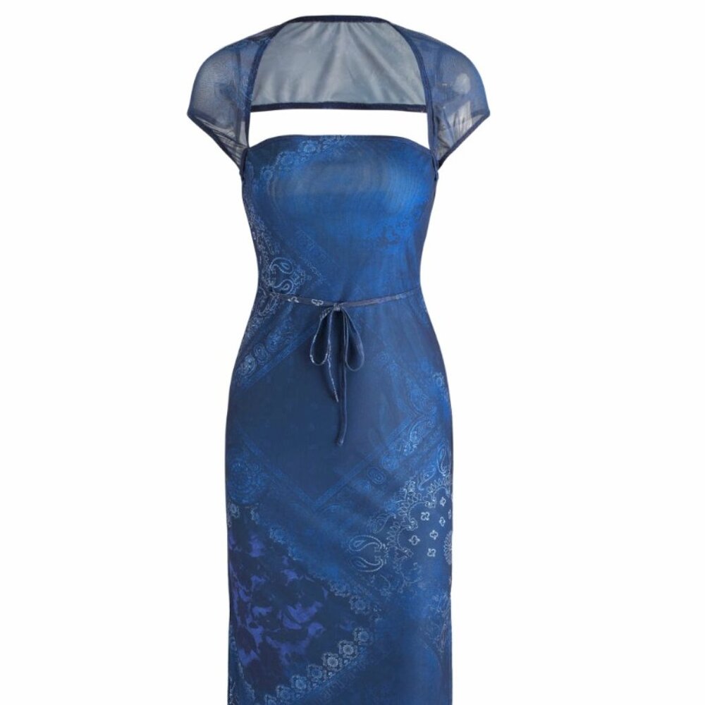 Cider Mesh Maxi Dress